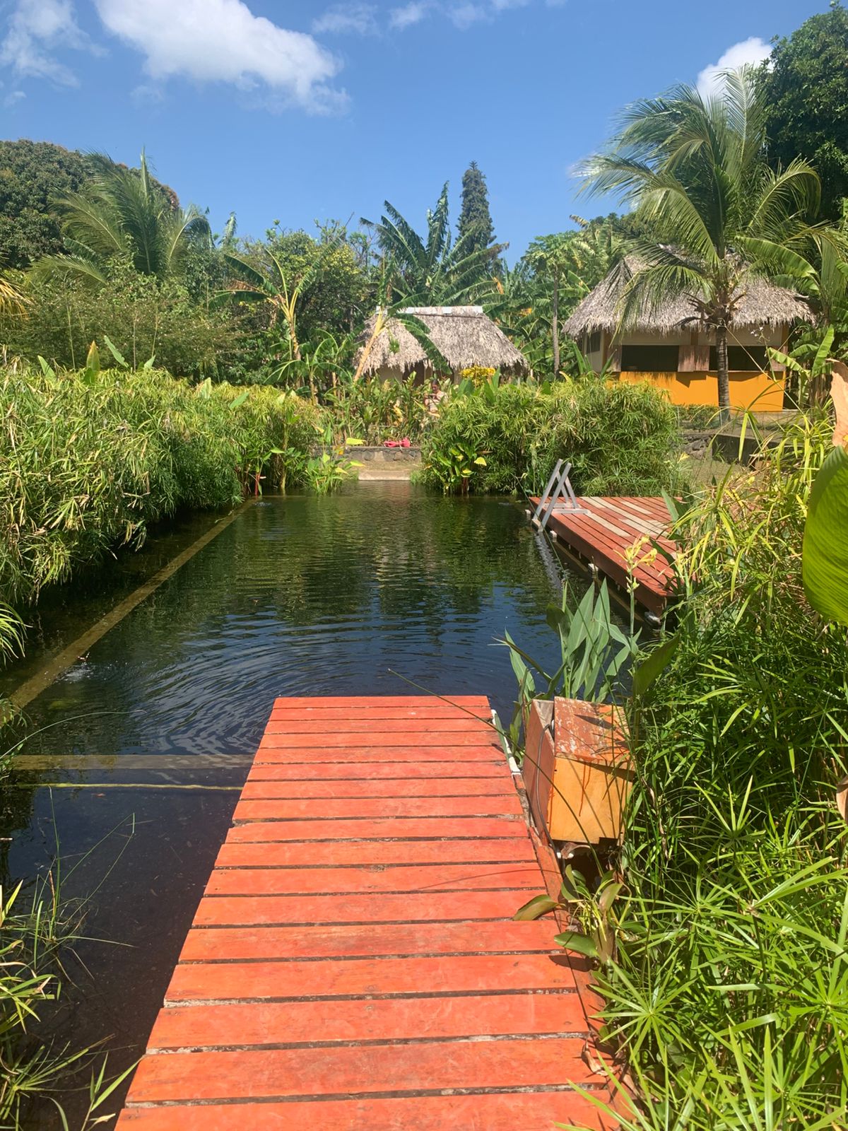 Biologischer Naturpool