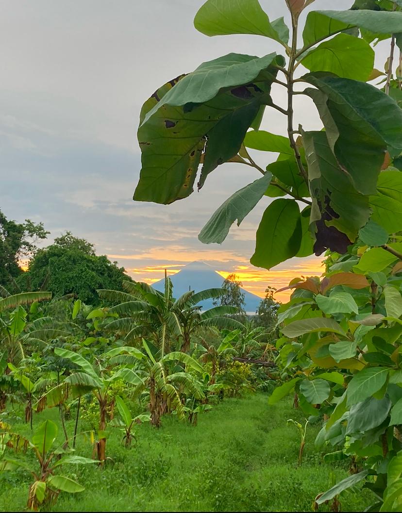 Vulkan bei Sonnenuntergang
